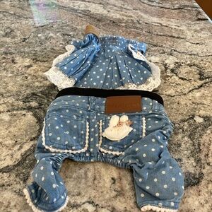 Blue Polka Dot Doggie Outfit